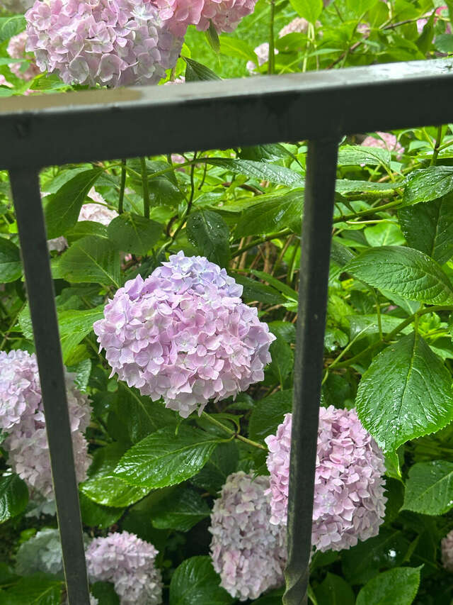 Гостиница Универсал Светлогорск-210