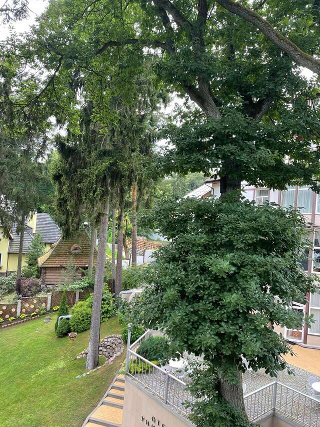 Гостиница Универсал Светлогорск-229