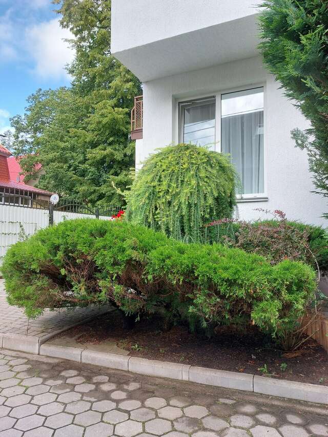 Гостиница Универсал Светлогорск-209