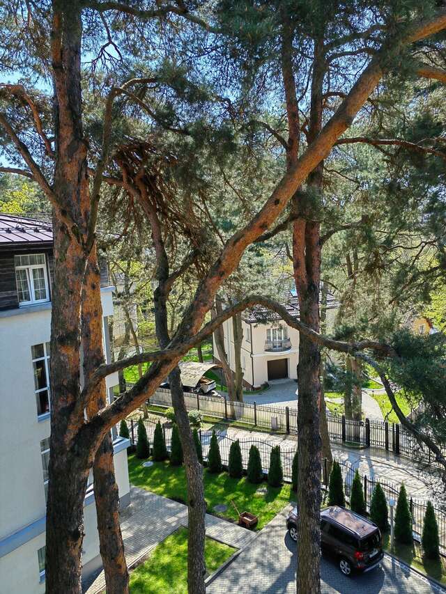 Гостиница Универсал Светлогорск-198