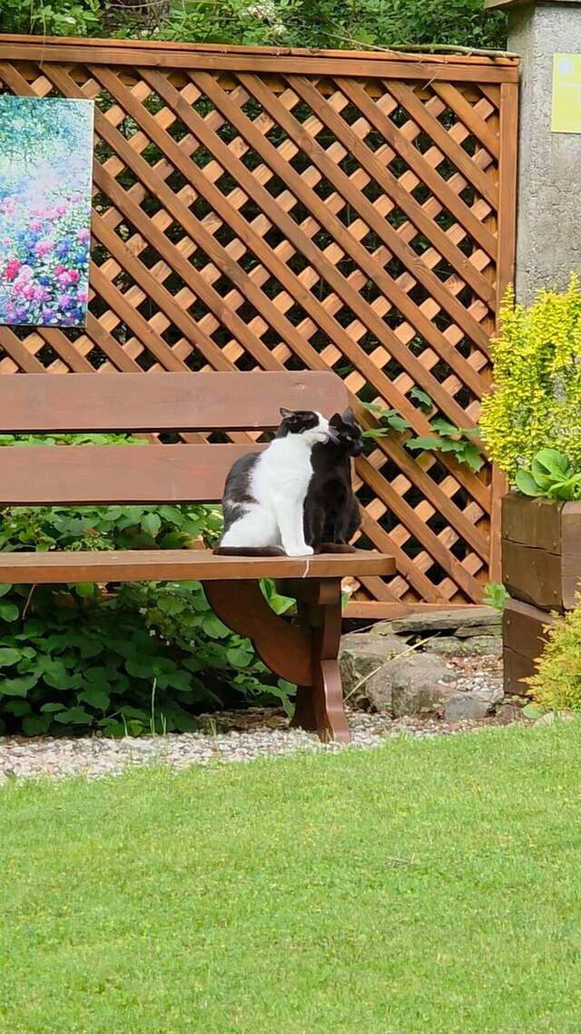 Гостиница Универсал Светлогорск-206