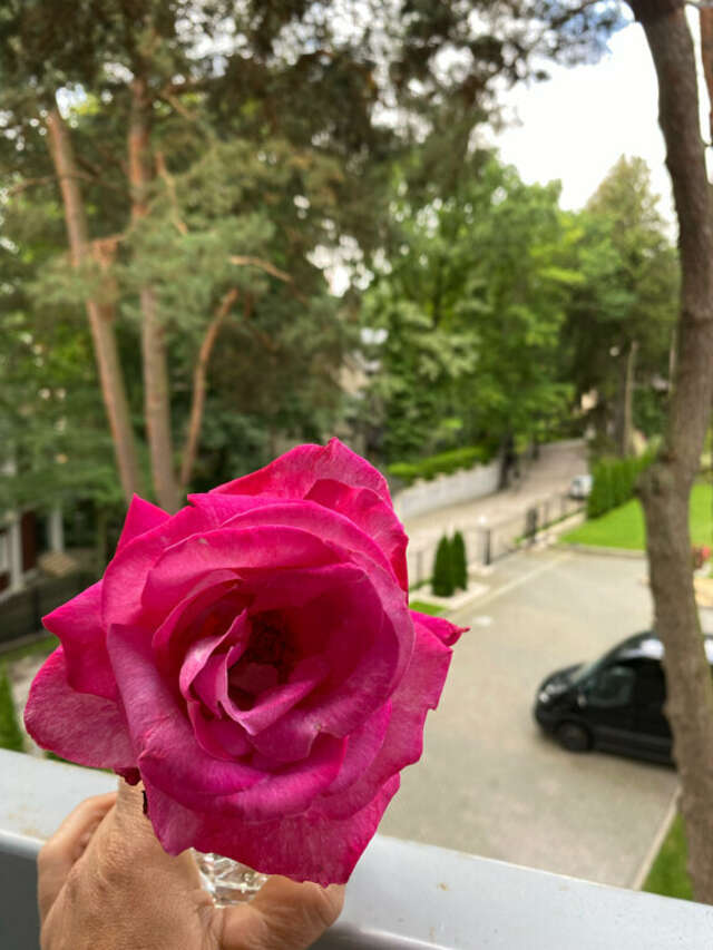 Гостиница Универсал Светлогорск-223