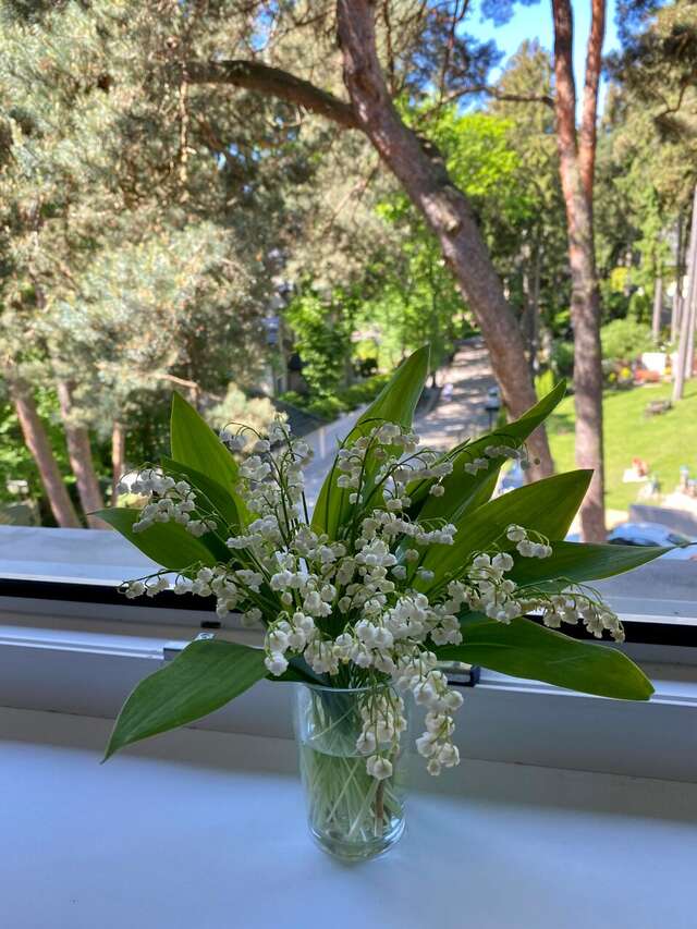 Гостиница Универсал Светлогорск-226