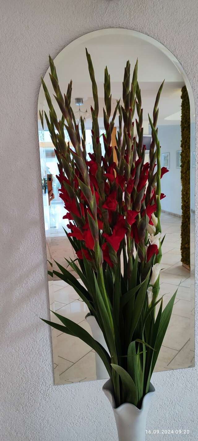 Гостиница Универсал Светлогорск-246