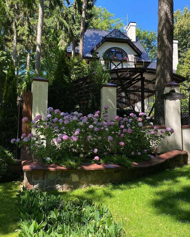 Гостиница Универсал Светлогорск-222