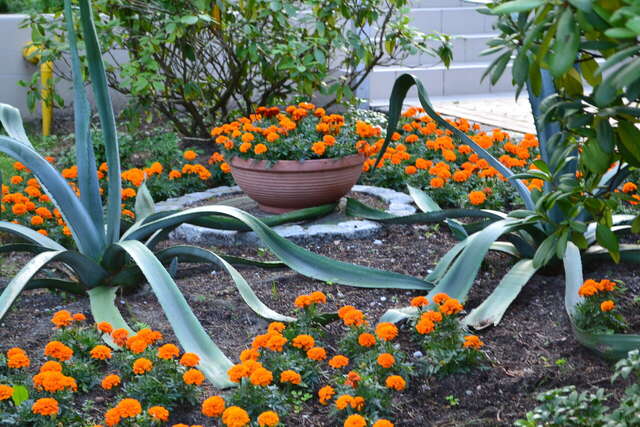 Гостиница Универсал Светлогорск-190