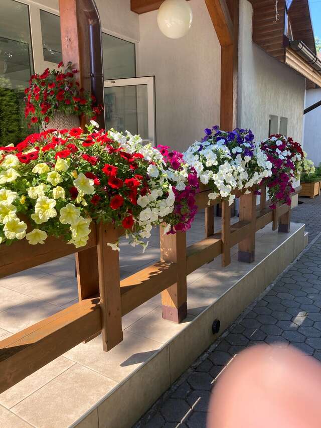 Гостиница Универсал Светлогорск-201