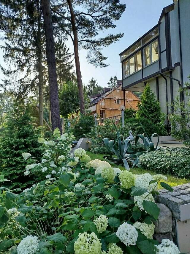 Гостиница Универсал Светлогорск-194